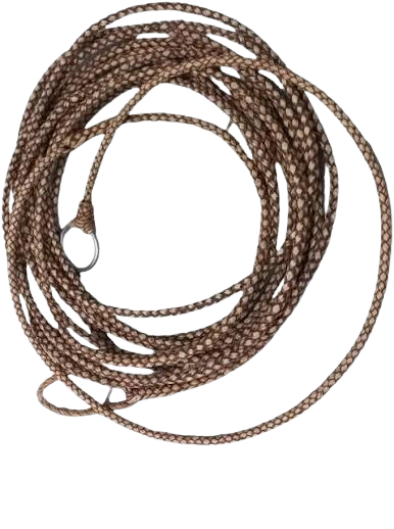 picture of rope